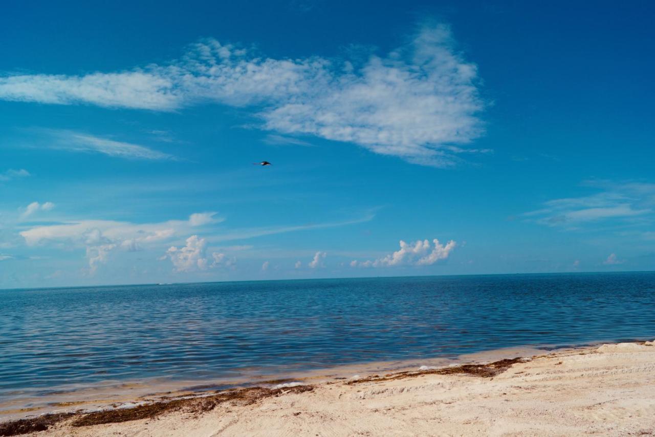 Deer Run On The Atlantic Bed and Breakfast Big Pine Key Εξωτερικό φωτογραφία